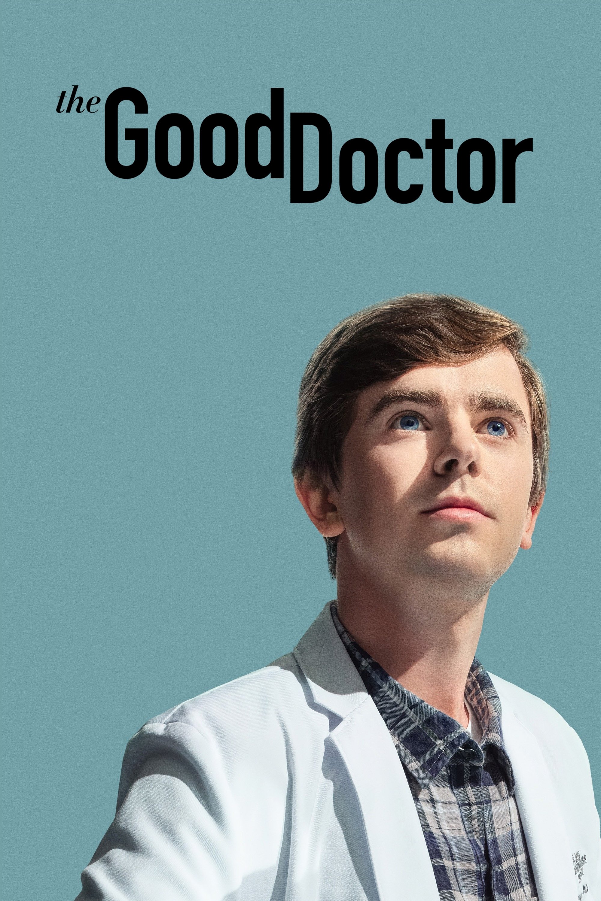 The Good Doctor (2017 TV Series)